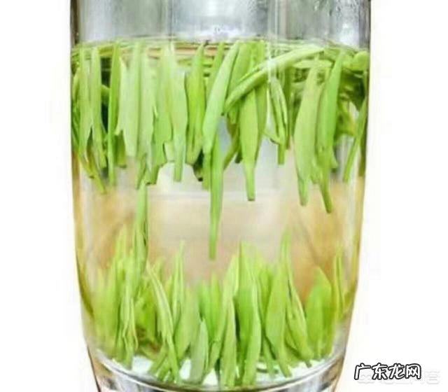 我们都知道经常喝绿茶对身体好,但您知道哪些时候不宜饮茶吗?