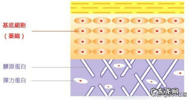网友们有什么好的洗发水推荐吗?