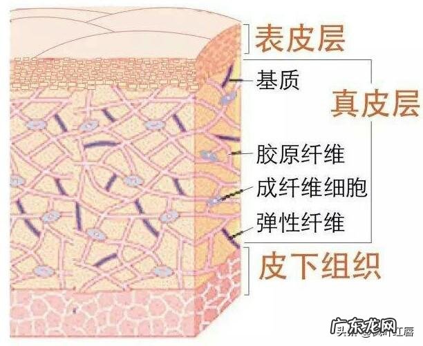 网友们有什么好的洗发水推荐吗?