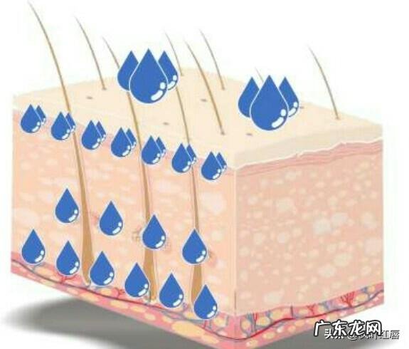 网友们有什么好的洗发水推荐吗?