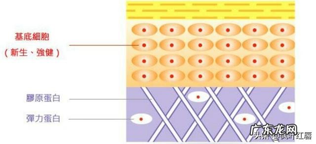 网友们有什么好的洗发水推荐吗?