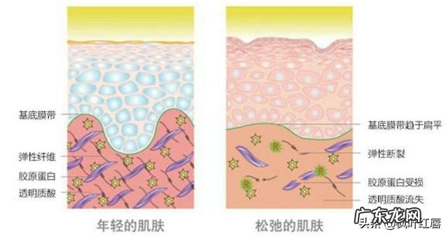 网友们有什么好的洗发水推荐吗?