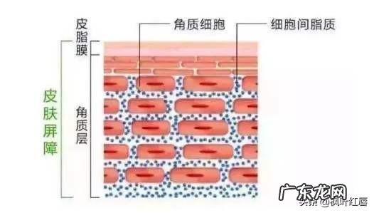 网友们有什么好的洗发水推荐吗?