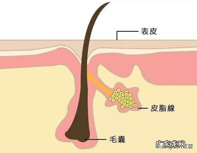 网友们有什么好的洗发水推荐吗？