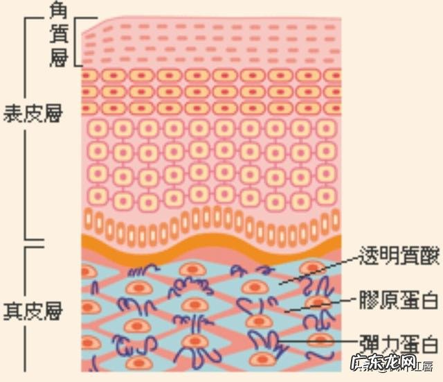 网友们有什么好的洗发水推荐吗？