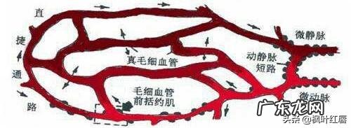 网友们有什么好的洗发水推荐吗?