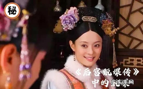 乾隆的生母到底是谁,是甄嬛吗?