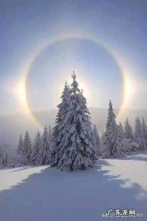 乾隆的生母到底是谁，是甄嬛吗？