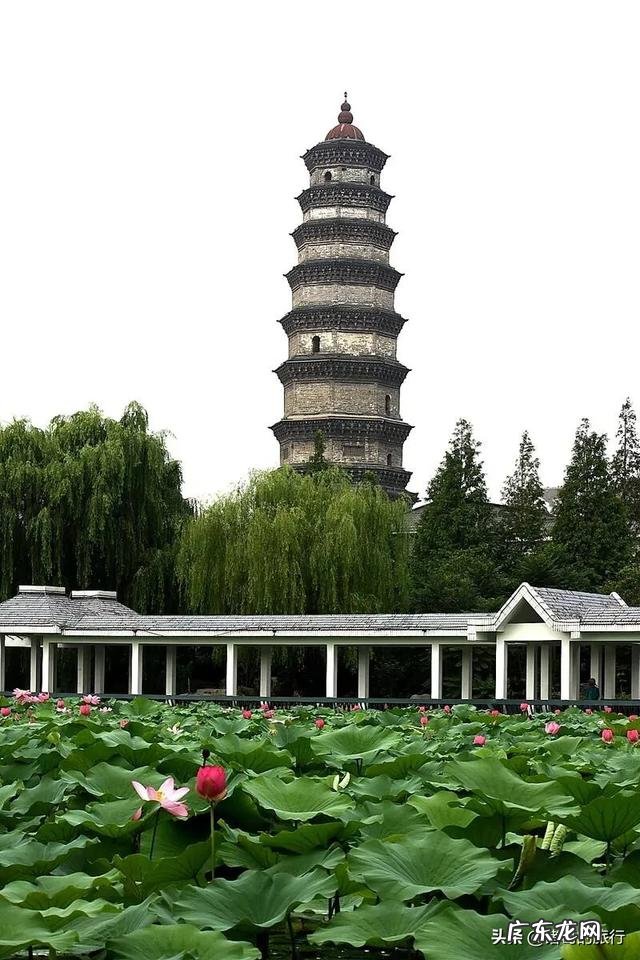 作为临沂人,你爱临沂吗?