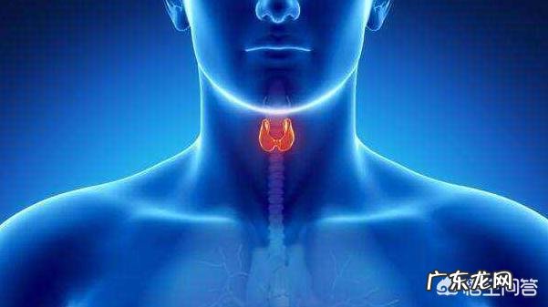 甲亢与甲减的有什么不同?