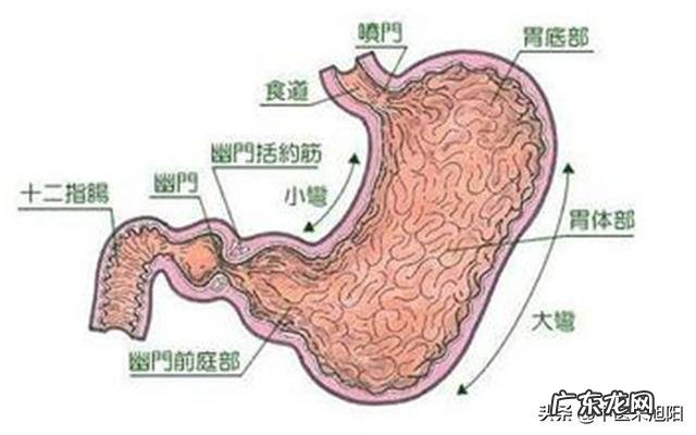 反酸说明胃不好了,胃酸过多如何调理?