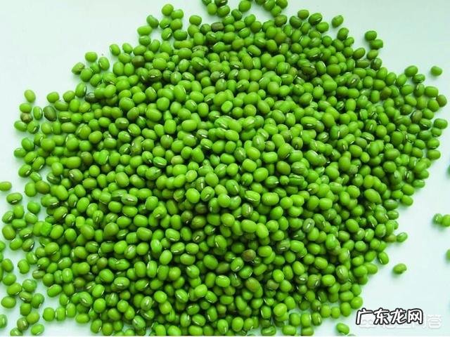 有哪些症状表明要给肝脏排毒了?