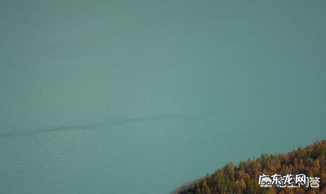 新疆喀纳斯湖“水怪”事件是怎么回事是真实发生的吗