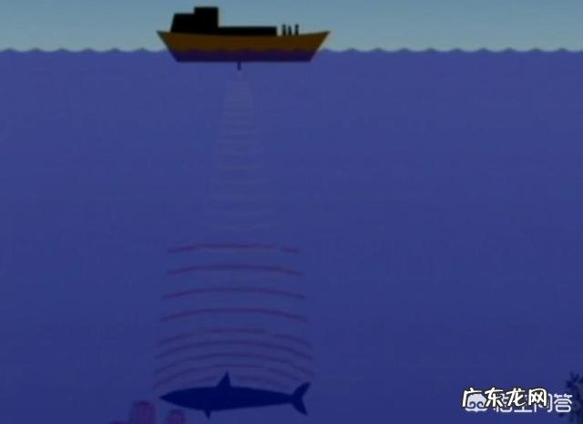 新疆喀纳斯湖“水怪”事件是怎么回事是真实发生的吗