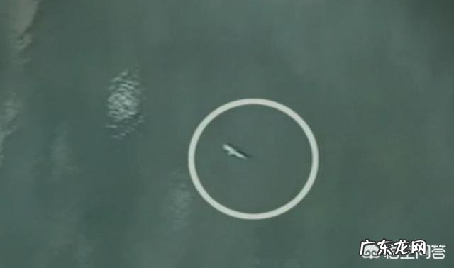 新疆喀纳斯湖“水怪”事件是怎么回事是真实发生的吗