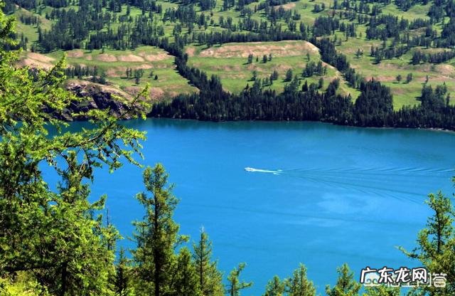 新疆喀纳斯湖“水怪”事件是怎么回事是真实发生的吗