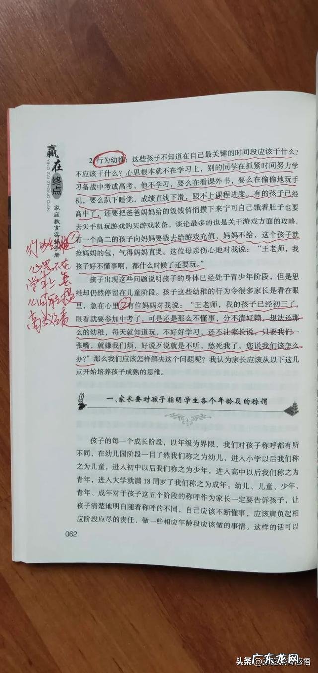 小学阶段对孩子的教育应该重点注意什么?
