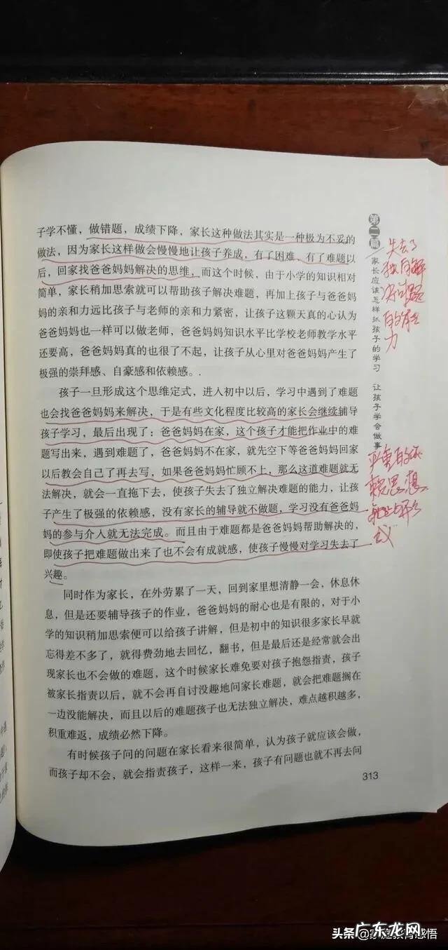 小学阶段对孩子的教育应该重点注意什么?