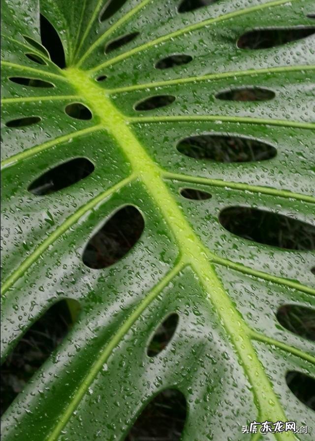 85后胖妈如何逆袭成辣妈?