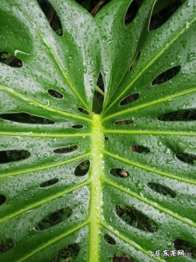 85后胖妈如何逆袭成辣妈?