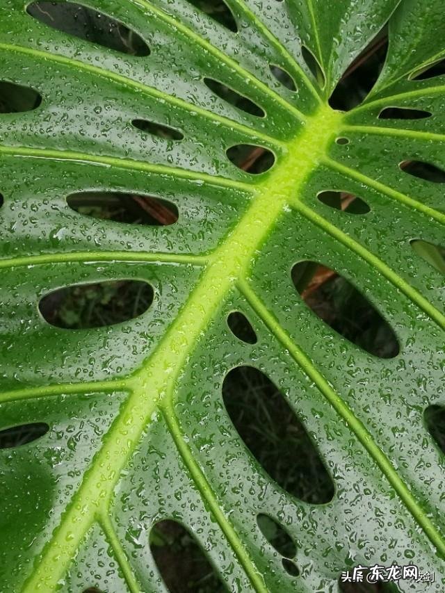 85后胖妈如何逆袭成辣妈?