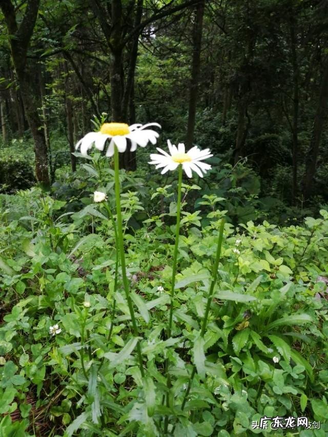 85后胖妈如何逆袭成辣妈?