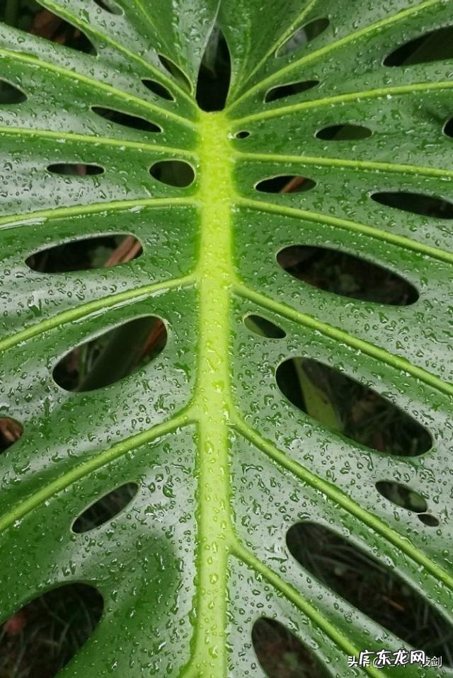 85后胖妈如何逆袭成辣妈?