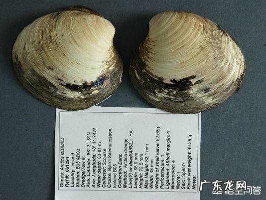 地球上有哪些寿命远远超过人类的动物