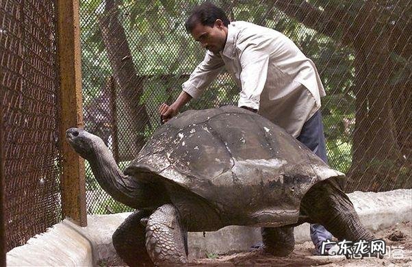 地球上有哪些寿命远远超过人类的动物