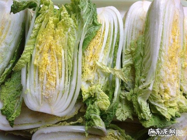 自己在家怎么快速腌制辣白菜？