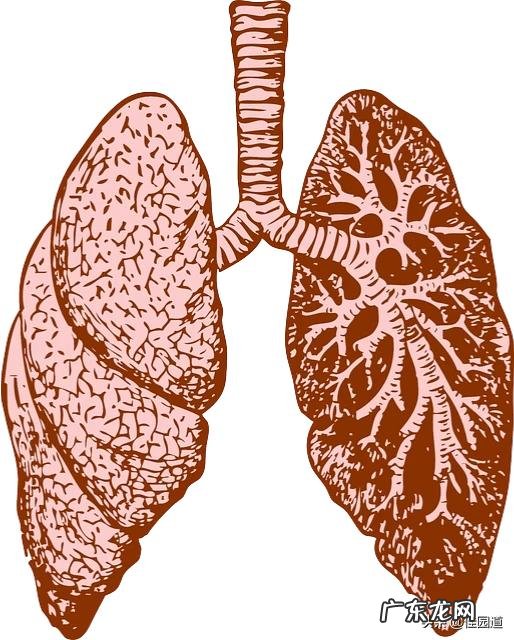 如何判断一个人在单位过得好不好