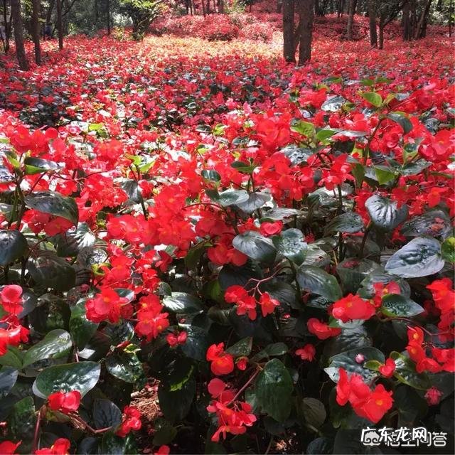 痰湿是以什么样的方式排出体外?