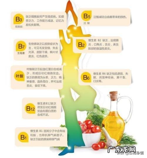 吃维生素片能替代蔬菜水果吗?为什么?