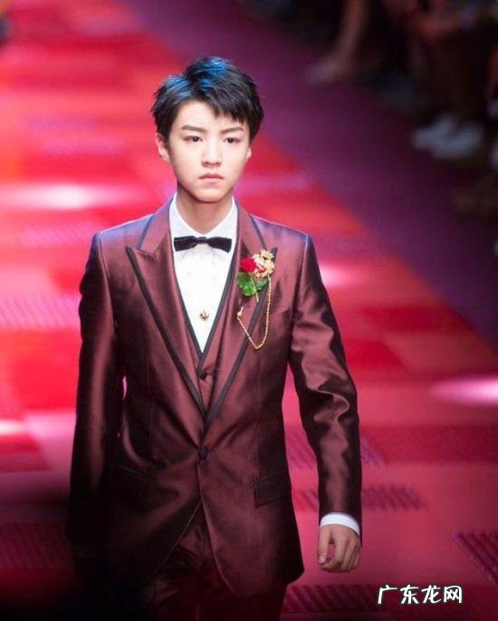 明星同款的膳食纤维食品值得购买吗? 官方正品同款膳食纤维