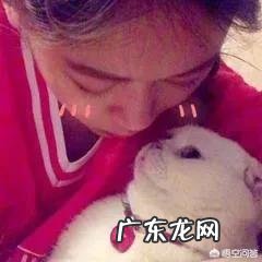 现在最火的抖音网红是谁?