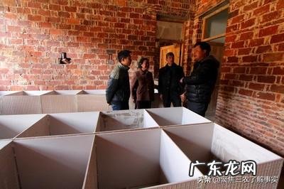 夏季竹鼠养殖怎样建窝池和降温?