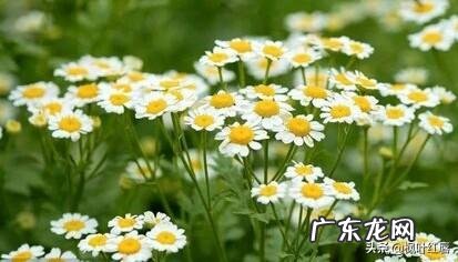 油皮+痘痘肌+敏感怎么护肤呢?有什么好的护肤品推荐?