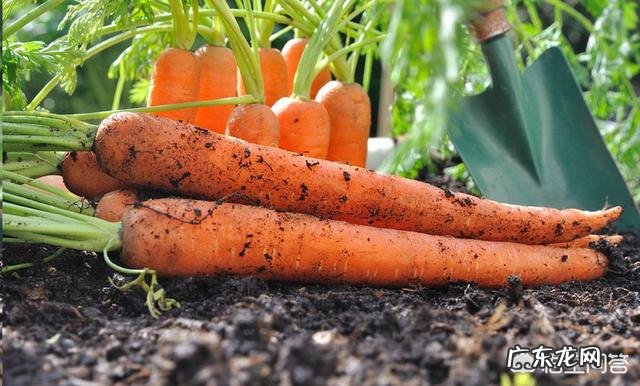 西餐牛排套餐中提供的浓汤是怎么做的?