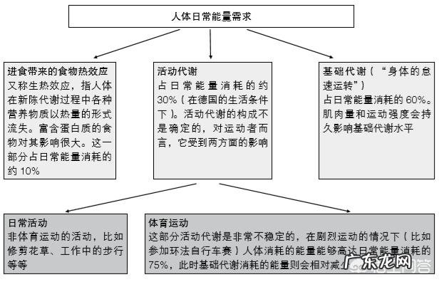 健腹轮一个月能瘦多少斤?