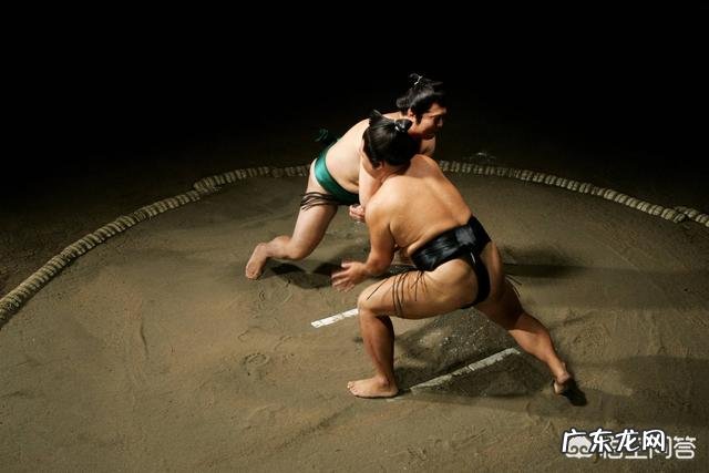 日本的相扑选手一个月能挣多少钱？