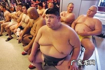 日本的相扑选手一个月能挣多少钱？