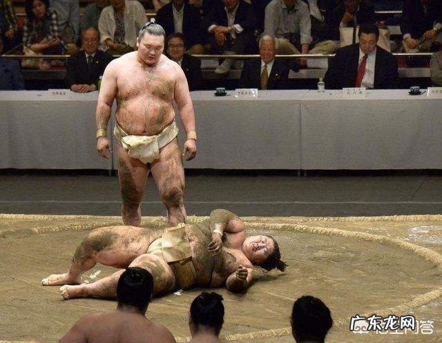 日本的相扑选手一个月能挣多少钱？