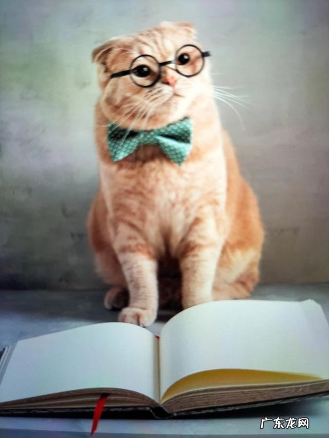 得了癌症剩下的日子怎么过好？