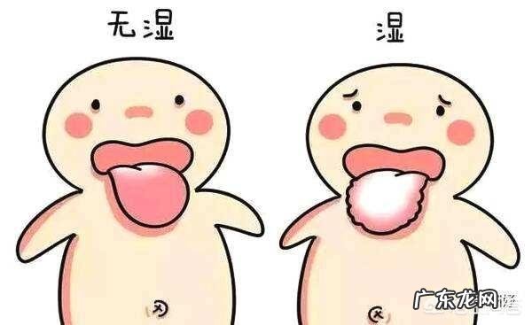 夏天感觉皮肤干,但是湿气好重,有什么好方法能够排出湿气啊?