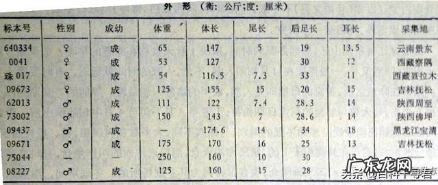 大熊猫PK黑熊谁厉害你认为呢
