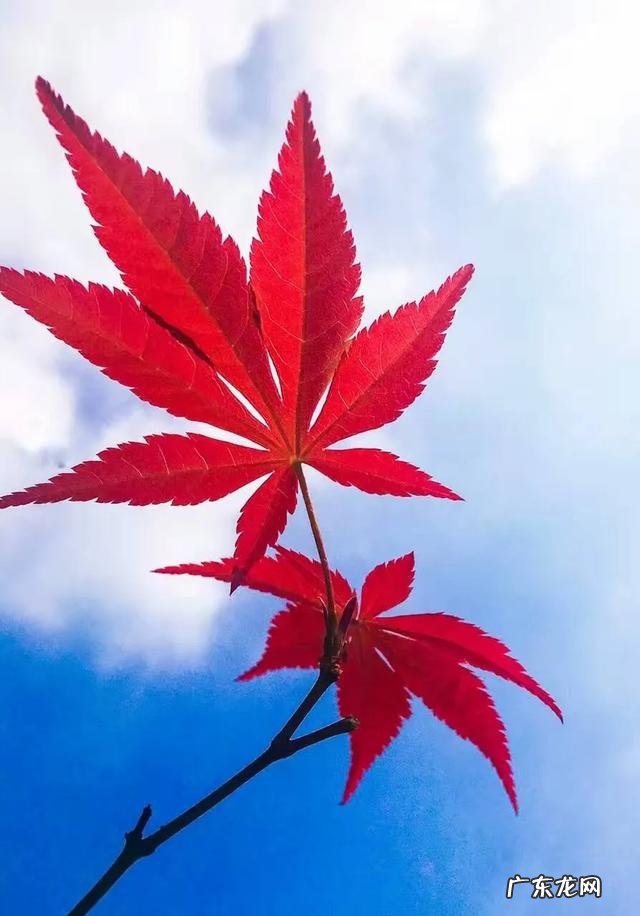 现在每天在家里待着，怎样才能让生活不单调感觉时间快为什么