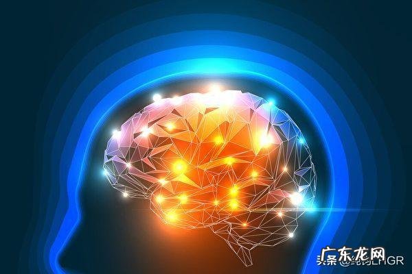 人脑子里的信息会不会变成一堆乱码?