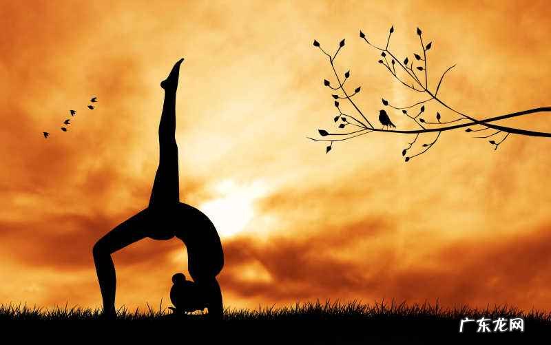 李时珍的本草纲目中既减肥又可以美容的中草叶是什么