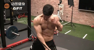 你赞同节食减肥这种理念吗?