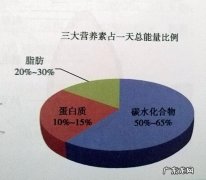 一天中，脂肪，蛋白质，碳水化合物应该各占多少比例？
